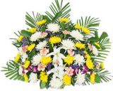 泾县开业花篮